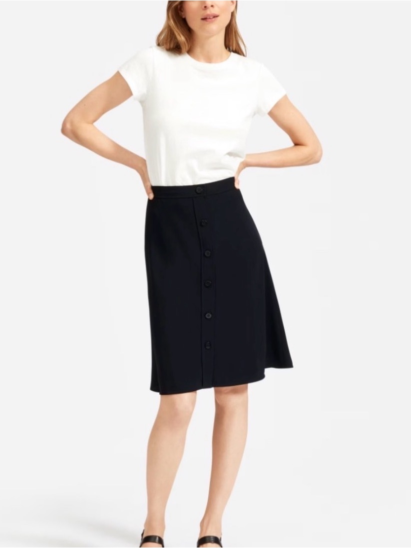 Everlane Black Japanese Goweave Swing Skirt